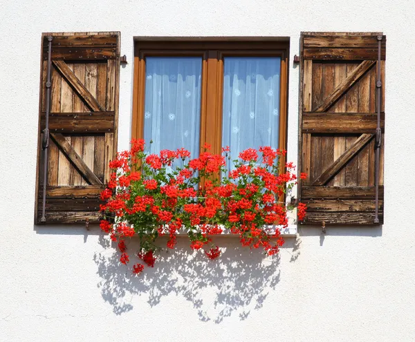 Esplêndida janela de floração com vasos de gerânios — Fotografia de Stock