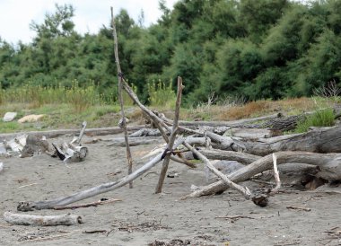 Sahilde terk edilmiş ağaç gövdeleri evsizler tarafından barınak ya da parti için kullanılan bir piramit oluşturuyor.