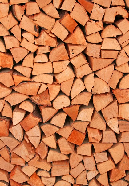 Tree trunks in the Woodshed of lumberjack — Stock Photo, Image