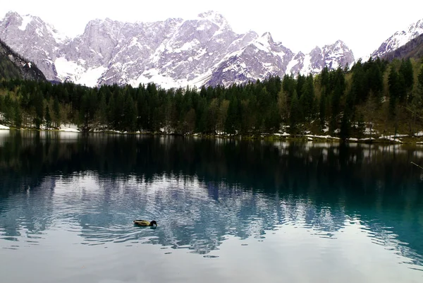 Jezero fusine s zasněžené Alpy v pozadí — Stock fotografie