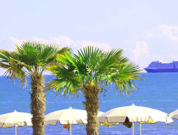 Palme im Touristendorf am Meer und auf dem Kreuzfahrtschiff — Stockfoto
