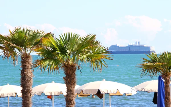 Palm in de toeristische badplaats en het cruiseschip — Stockfoto