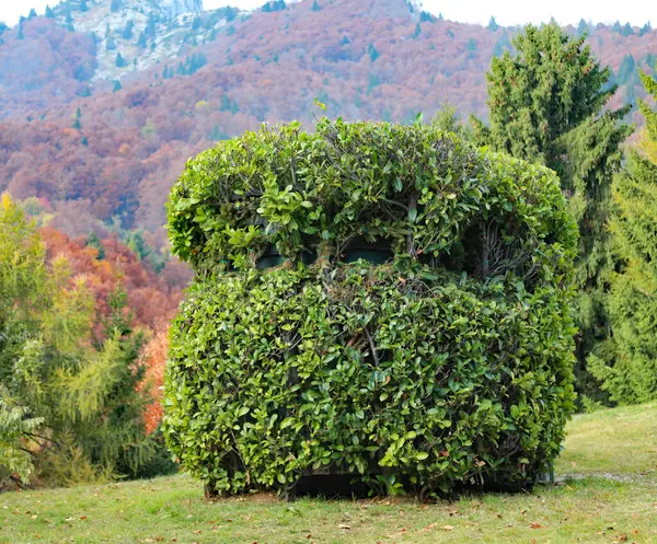 Jagdhaus Der Jäger Perfekt Getarnt Mit Grünen Blättern Sich Vor — Stockfoto