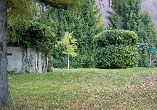 緑の枝と葉で完全にカモフラージュされたハンターの2つの狩猟小屋山の中の鳥の眺めから隠すために — ストック写真