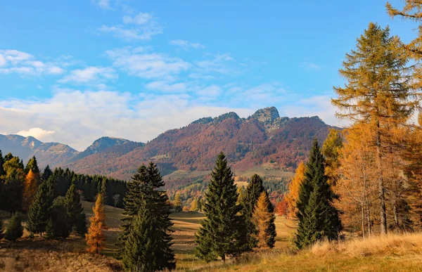 Increíble Paisaje Alpino Con Alta Montaña Los Árboles Colores Con —  Fotos de Stock