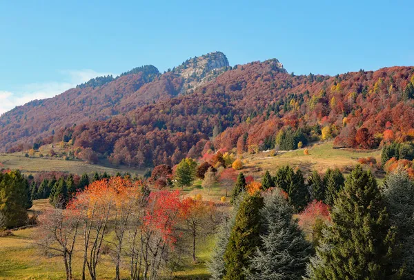 北イタリアのモンテ スピッツのパノラマと秋のカラフルな木々と青い空 — ストック写真
