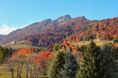Kuzey İtalya 'da Monte Spitz adlı yüksek dağın manzarası sonbaharda ağaçların renkli yaprakları ve mavi gökyüzü