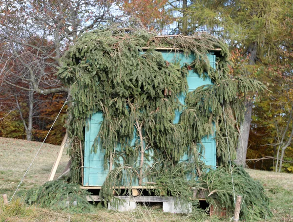 Hunting Cabin Hunters Camouflaged Green Leaves Hide Sight Birds — Stock Photo, Image