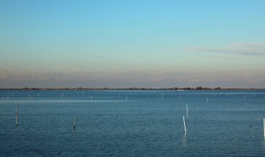 Venedik yakınlarındaki Adriyatik Denizi 'nde midye ve istiridye gibi kabuklu deniz ürünleri yetiştirmek için deniz seviyesi düşük.