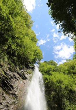 Dağın tepesinden akan su şelalesi. Ağaçlar bozulmamış doğada yazın doğal ortamda insanlar olmadan.