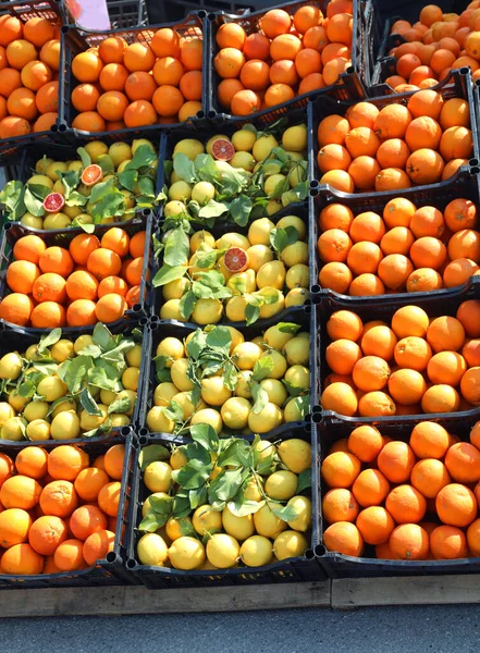 Апельсины Желтые Органические Лимоны Зелеными Листьями Продажи Киоске Овощном Рынке — стоковое фото