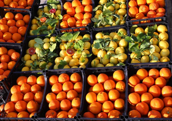 Mnoho Beden Zralé Pomeranče Žluté Organické Citrony Zelenými Listy Prodej — Stock fotografie