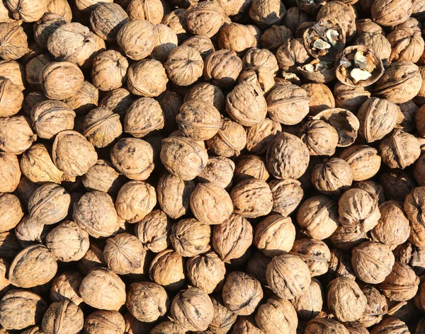 Background Brown Walnuts Open One You Can See Internal Kernel — Stock Photo, Image