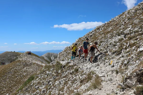 Família Com Três Filhos Mãe Andando Nas Montanhas Passeio Verão — Fotografia de Stock