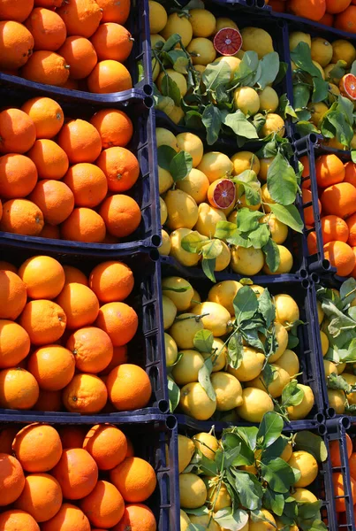 Ящики Апельсинових Жовтих Органічних Лимонів Зеленим Листям Продажу Стопі Овочевому — стокове фото