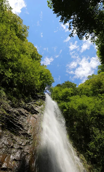 Cachoeira Água Que Flui Topo Montanha Com Árvores Redor Natureza — Fotografia de Stock