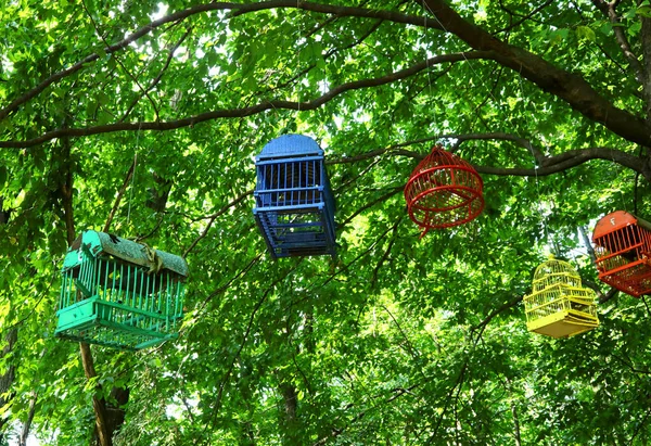 Много Цветных Клеток Птиц Лесу — стоковое фото