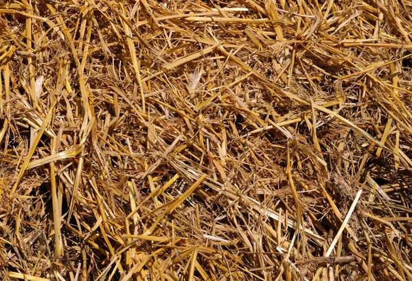 Background Dry Hay Straw Stable — Stock Photo, Image