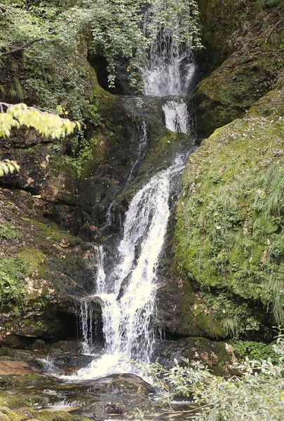 清澈的泉水 从岩石中流出 在未受污染的自然中形成巨大瀑布 — 图库照片