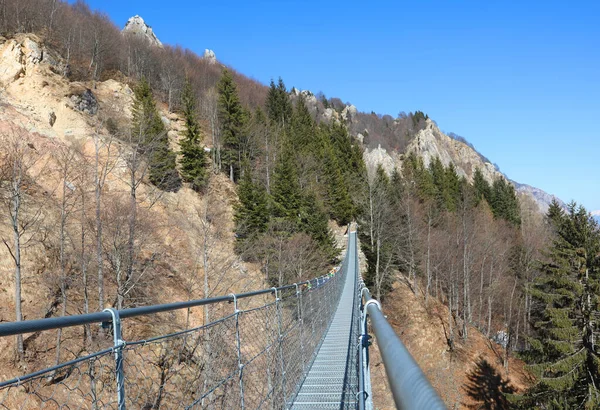 Très Long Pont Suspendu Acier Cordes Robustes Également Appelé Pont — Photo