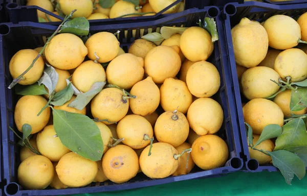 Lådor Med Färska Citruscitroner Till Salu Stallet Grönsaksmarknaden — Stockfoto
