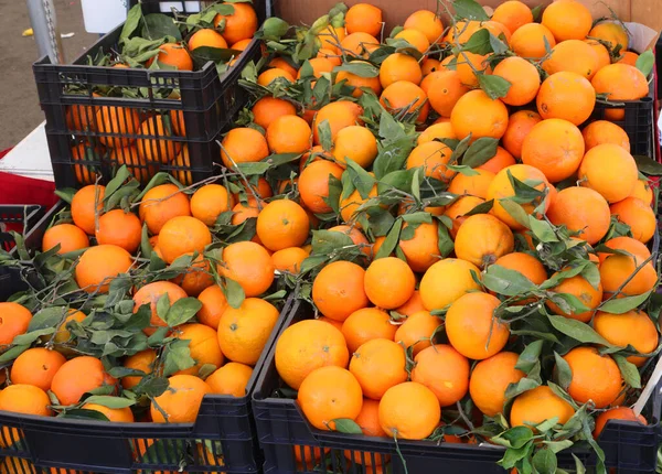 Ящики Свежих Органических Апельсинов Листьями Продажи Киоске Рынке — стоковое фото