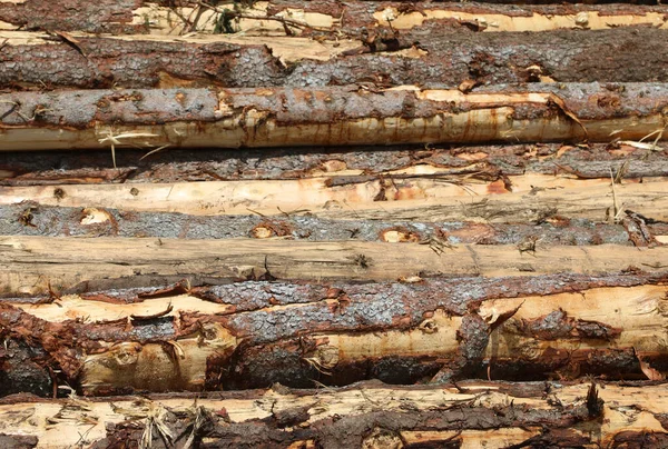 製材所の樹皮を持つ多くの切断された幹の背景 — ストック写真