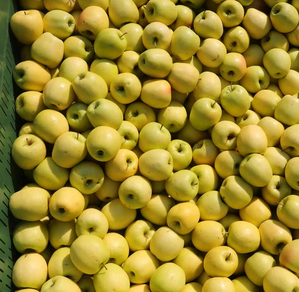 Bix Box Full Gröna Äpplen Till Salu — Stockfoto