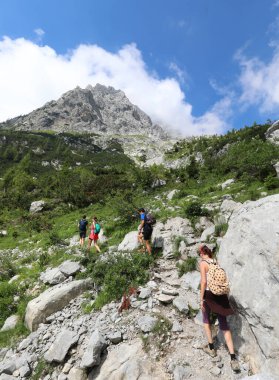 Kuzey İtalya 'nın Friuli Bölgesi' ndeki dağdaki yolda beş kişilik bir aile.