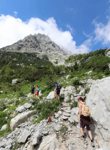 Família Cinco Pessoas Caminho Montanha Região Friuli Norte Itália Europa — Fotografia de Stock