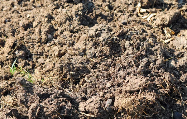 Fondo Estiércol Fresco Acaba Extenderse Campo Para Fertilizar Utilizando Sistemas — Foto de Stock