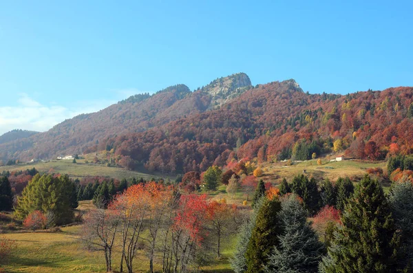 Paisaje Con Montañas Bosques Con Colores Otoñales Árboles Con Hojas —  Fotos de Stock
