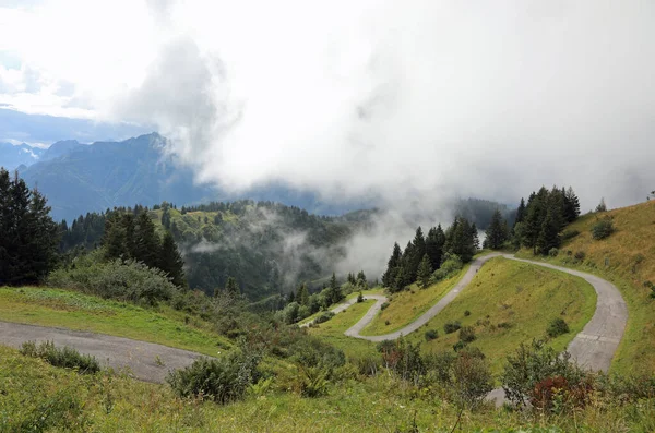 Road Very Steep Climb Town Ovaro Leads Top Zoncolan Mount — стоковое фото