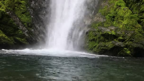 Blubberndes Wasserfallwasser Fällt Auf Den Teich Wald — Stockvideo