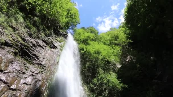 Borrelende Waterval Water Vallen Vijver Het Bos — Stockvideo