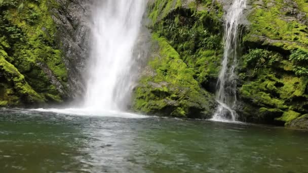 Cascade Bouillonnante Eau Tombant Sur Étang Dans Forêt — Video