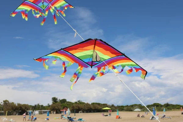 Twee Kleurrijke Vliegers Het Strand Tijdens Zomervakantie Symbool Van Zorgeloze — Stockfoto