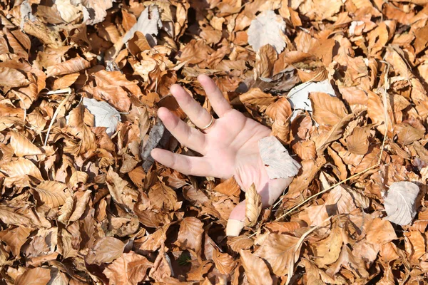 Finding Hand Person Buried Woods Dry Deciduous Leaves — 스톡 사진