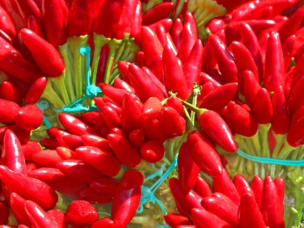 Κόκκινες Καυτερές Πιπεριές Προς Πώληση Από Μανάβικο Της Τοπικής Αγοράς — Φωτογραφία Αρχείου