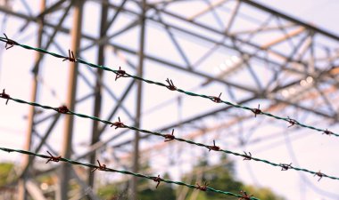 Yasak bölgenin ayrık bölgesini insansız olarak sınırlayan dikenli teller.