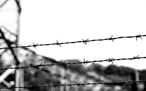 Three Barbed Wires Prison Camp Segregation Prisoners Prevent Prisoners Escaping — Stock Photo, Image