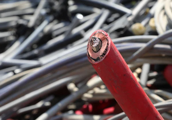 Großes Rotes Stromkabel Für Sehr Hohe Spannungen Altkabelcontainer Beim Recycling — Stockfoto