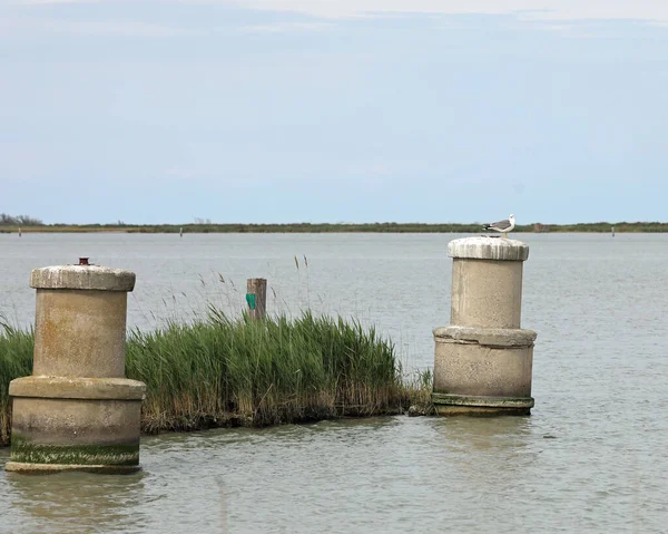 Abandoned Very Old Concrete Artifacts Called Collection Wells Extraction Methane Stock Image