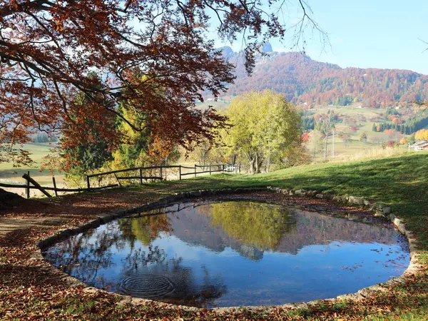 Bezaubernde Herbstlandschaft Den Bergen Mit Einem Teich Dem Sich Die — Stockfoto