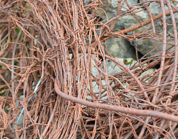 Tangled Skein Rusty Barbed Wire Used Defend Borders First World — Stockfoto