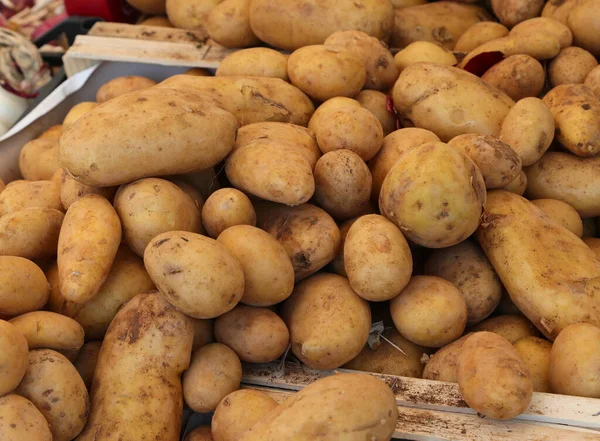 Veel Aardappelen Geteeld Met Biologische Systemen Zonder Fungiciden Koop Kraam — Stockfoto