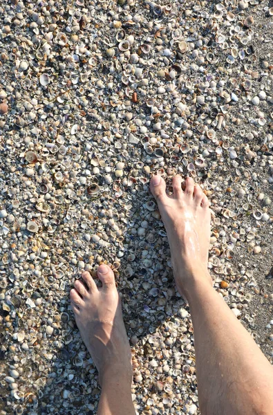 barefoot man walking on a carpet made of shells and molluscs by the sea in summer
