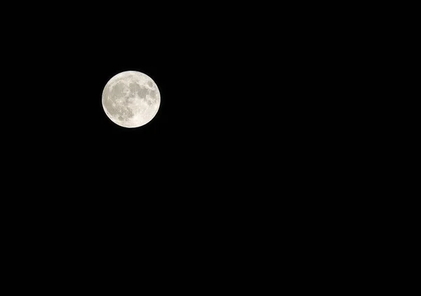 Heller Großer Vollmond Und Man Sieht Auch Viele Krater Vor — Stockfoto