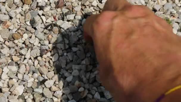 Man Who His Hand Finds Bitcoin Coin Middle Gravel — стоковое видео