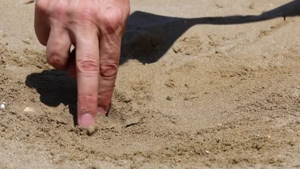 Hand Person Who Seems Walk Finds Golden Coin Capital Symbolizing — Stockvideo